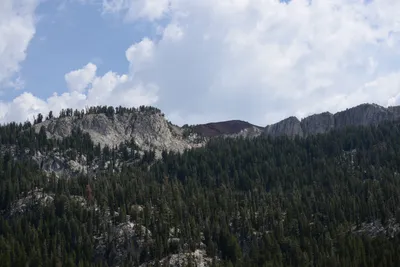 DSC_3008 (Large).JPG